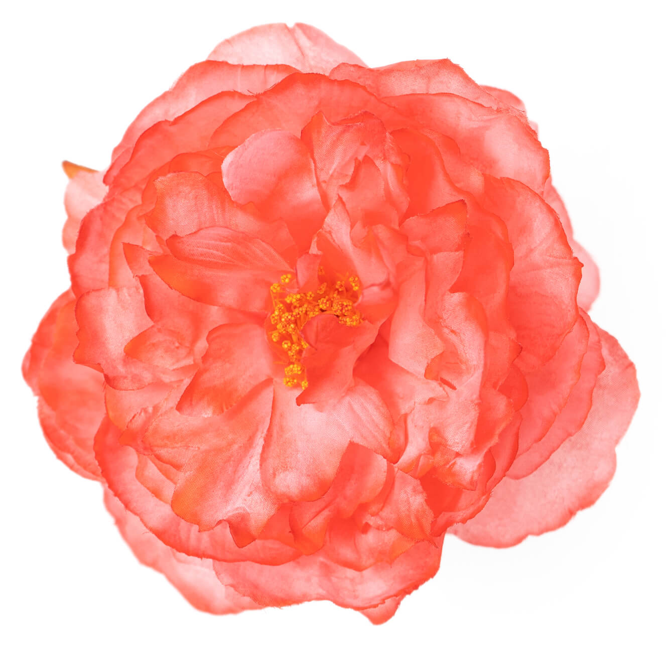 Flor de flamenca coral claro con estambres para el pelo, complemento de feria y traje de flamenca