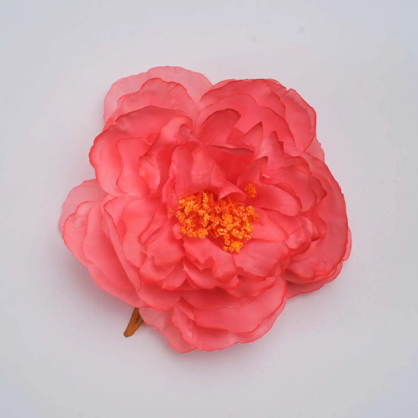 PEONIA SANLUCAR SALMON