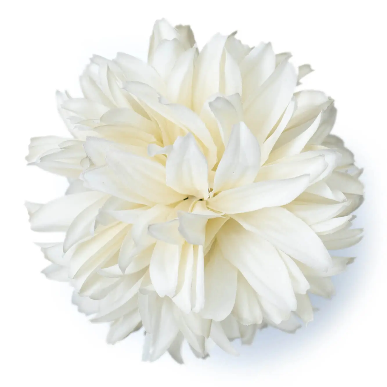 Flor de flamenca blanca con pétalos alargados para peinados de moda flamenca