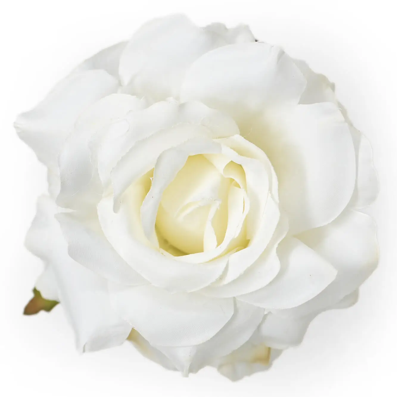 ROSA MEDIANA BLANCO CR03