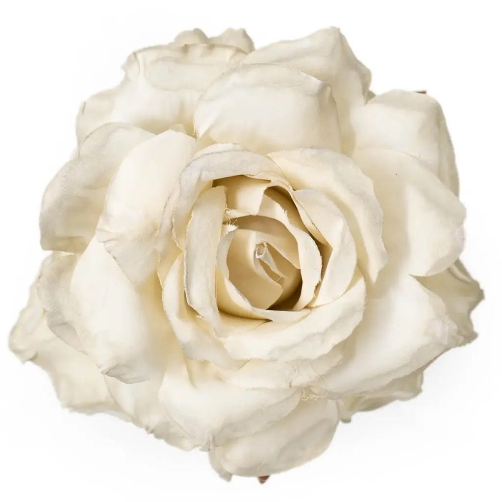 ROSA MEDIANA CREMA CR51