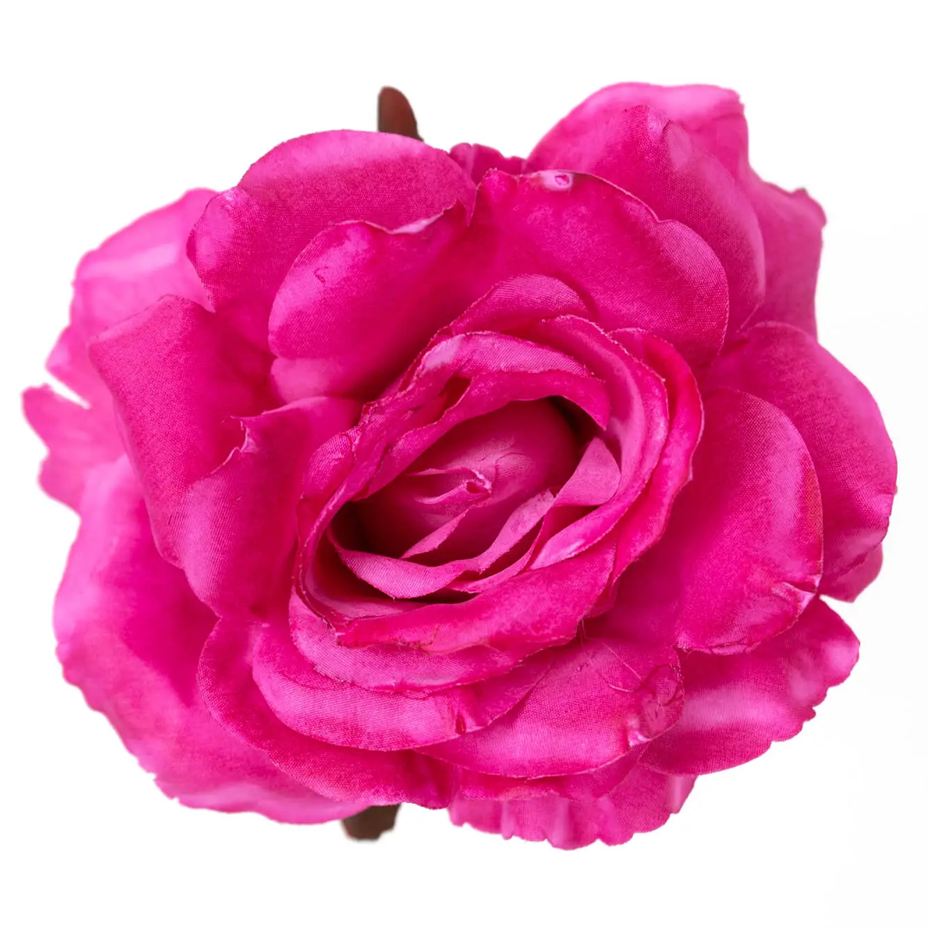 ROSA MEDIANA BUGANVILLA MR36