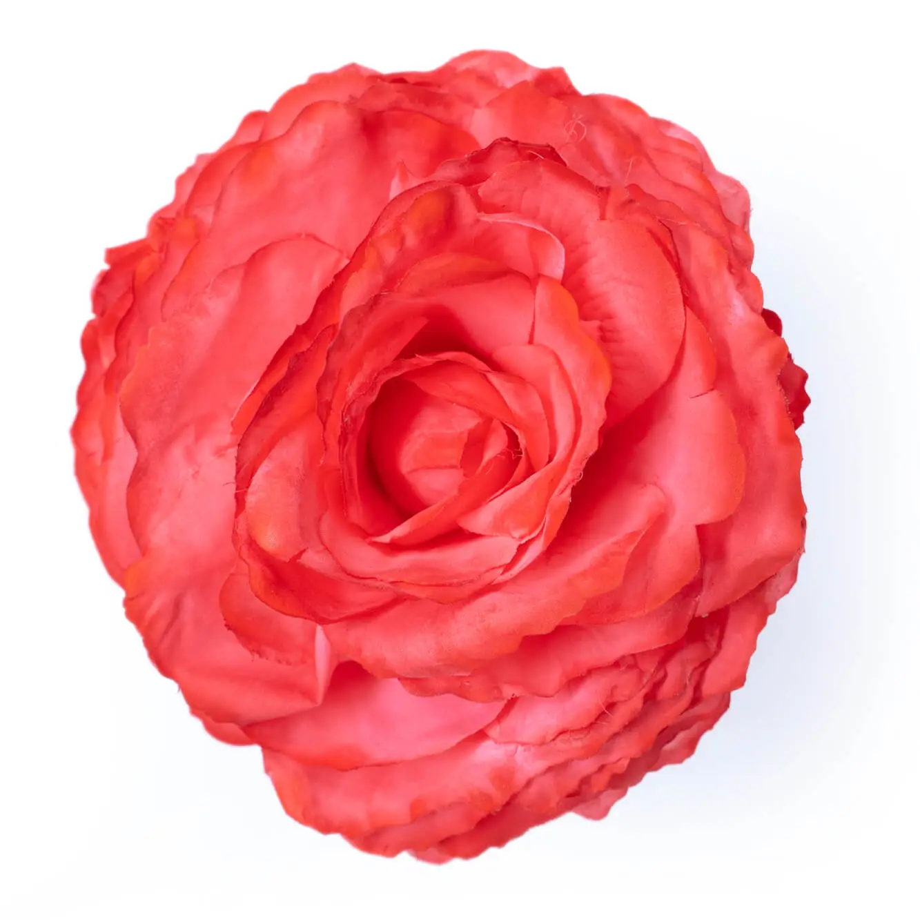 ROSA KING CORAL RJ39